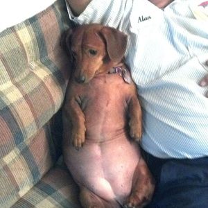 Meet your Posher, Catherine